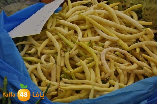 souq gan temar (21).JPG